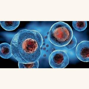 TISSUE AND ORGAN REGENERATION DIETS